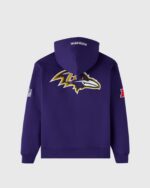 NFL Baltimore Ravens Icon Team Hoodie