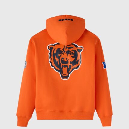 NFL Chicago Bears Icon Team Hoodie